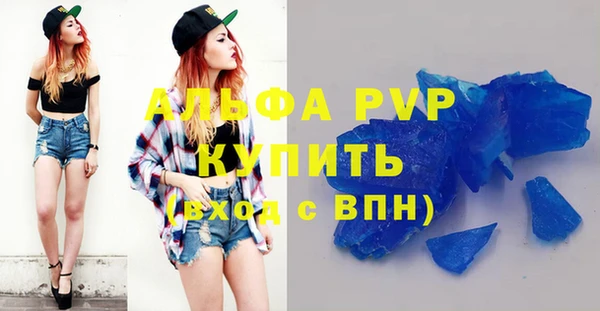 прущие грибы Костерёво