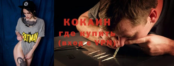 мдпв Козельск