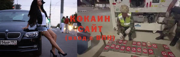 прущие грибы Костерёво