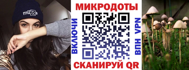 Купить где  Артёмовский  Псилоцибиновые грибы Psilocybe 